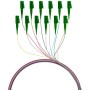 EFB O0482.2 Faserpigtail LC/APC OS2 G652D-farbiges Set 2m - 12 Stück