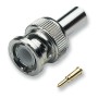 EFB 52502.1 BNC-Crimpstecker gerade RG59/62 75/93 Ohm