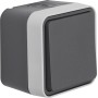 Berker W1 Coating 30763505 Switch W.1 grey matt IP55
