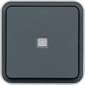 Berker W1 30763525 change switch illuminated grey/light grey matt