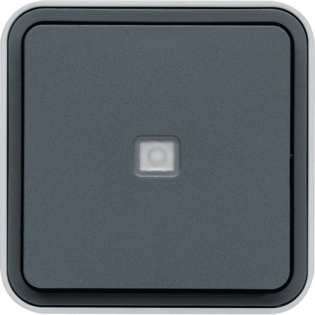 Berker W1 30763525 change switch illuminated grey/light grey matt