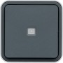 Berker W1 30763525 change switch illuminated grey/light grey matt