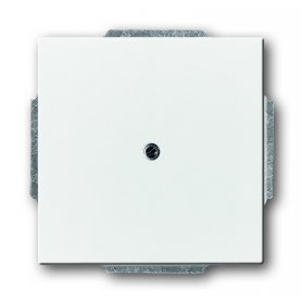 Busch-Jäger blind central disc, with support ring studiowhite 1710-0-3161