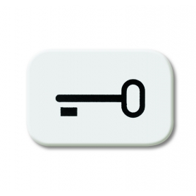 Symbole de bouton Busch-Jäger, "clé" blanc alpin 1433-0-0044