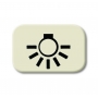 Busch-Jäger button symbol, light white 1433-0-0424