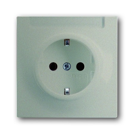 Busch-Jäger SCHUKO® socket insert, with label box champagne metallic 2011-0-2787