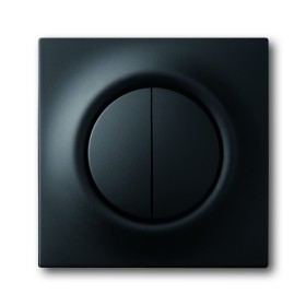 Busch-Jäger central disc, with actuating knob and glimm lamp black matt 1753-0-0152