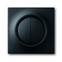 Busch-Jäger central disc, with actuating knob and glimm lamp black matt 1753-0-0152