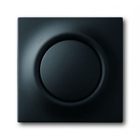 Busch-Jäger központi lemez, gomb és fényes lámpa fekete matt 1753-0-0153