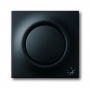 Busch-Jäger central disc, with button and glimm lamp black matt 1753-0-0156