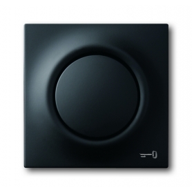 Disco central Busch-Jäger, con botón y lámpara de glimm negro mate 1753-0-0157