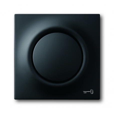 Busch-Jäger central disc, with button and glimm lamp black matt 1753-0-0157