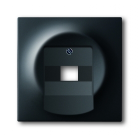 Busch-Jäger centrálny disk čierny matt 1753-0-0162