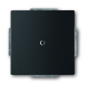 Busch-Jäger slepý centrálny disk, s podporou prsteň čierne matt 1710-0-3895