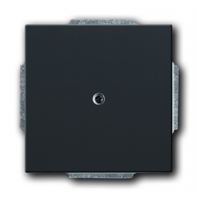 Busch-Jäger central disc, with ring black matt 1710-0-3900