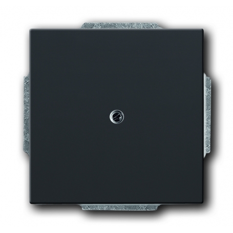 Busch-Jäger central disc, with ring black matt 1710-0-3900