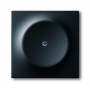 Busch-Jäger lažni središnji disk, s potpornim prstenom mat crna 1753-0-0138