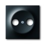 Busch-Jäger central disc, as cover for commercial antenna sockets black matt 1753-0-0140