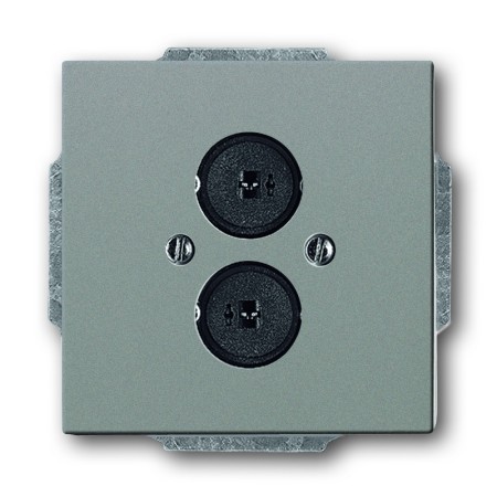 Busch-Jäger Zentralscheibe graumetallic 1723-0-0257