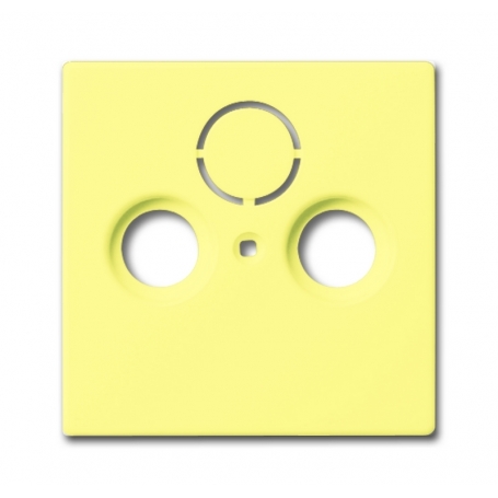 Busch-Jäger central disc, as cover for commercial antenna sockets yellow 1724-0-4288