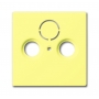 Busch-Jäger central disc, as cover for commercial antenna sockets yellow 1724-0-4288