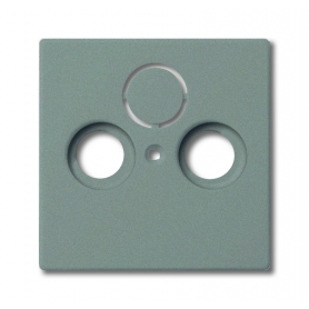 Busch-Jäger centrálny disk, ako krytie pre komerčné antény zásuvky simetallic 1724-0-4291