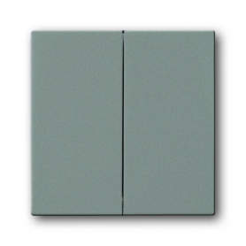 Bascule Busch-Jäger, avec surface fermée, gris métallisé 1751-0-3018