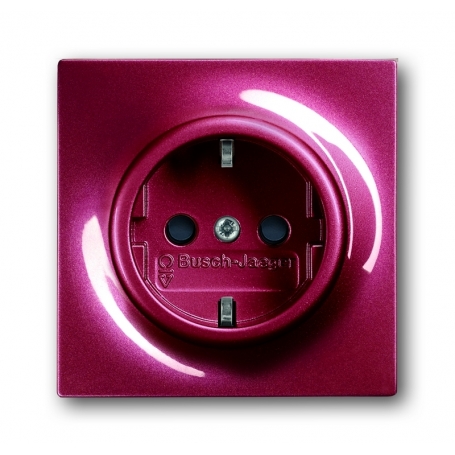 Busch-Jäger SCHUKO® socket insert, with int. erh