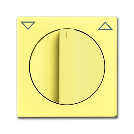 Busch-Jäger central disc, with rotary handle, with imprint yellow 1710-0-3820
