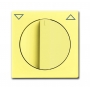 Busch-Jäger centrálny disk, s rotačnou rukoväťou, s potlačou žltý 1710-0-3820