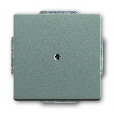 Busch-Jäger lažni središnji disk, s potpornim prstenom metalik siva 1710-0-3843