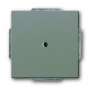 Busch-Jäger central disc, with support ring greymetallic 1710-0-3844