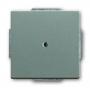 Busch Hunter ciego disco central, con soporte anillo grismetallic 1710-0-3843