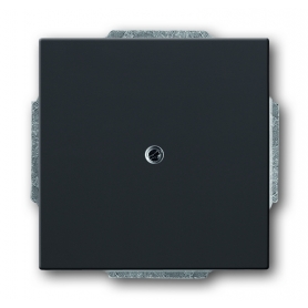 Busch-Jäger lažni središnji disk, s potpornim prstenom antracit 1710-0-3612