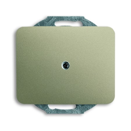 Busch-Jäger central disc, with support ring palladium 1710-0-3316