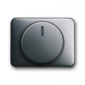 Disque central Busch-Jäger, avec bouton rotatif, écrou de fixation et lampe à incandescence platine 6599-0-1458