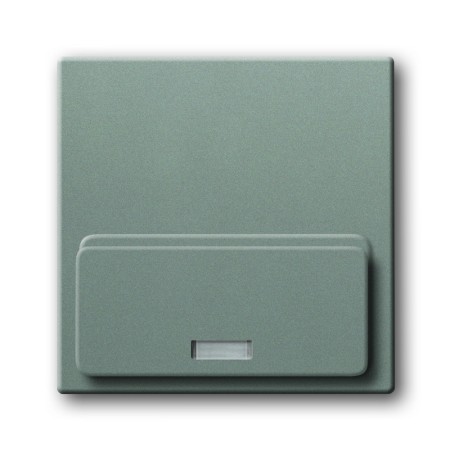 Busch-Jäger Zentralscheibe graumetallic 8200-0-0137