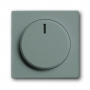 Disque central Busch-Jäger, avec bouton rotatif, écrou de fixation et lampe à incandescence, gris métallique 6599-0-2980