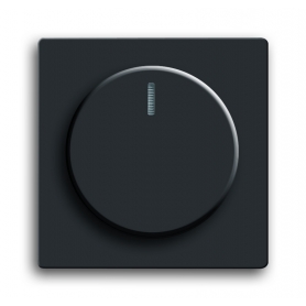 Disque central Busch-Jäger, avec bouton rotatif, écrou de fixation et lampe à incandescence noir mat 6599-0-2966