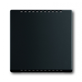 Busch-Jäger central disc, for cooling part black matt 6599-0-2967