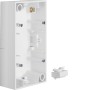 Berker 10428989 S1 AP Housing 2x, polar white gloss