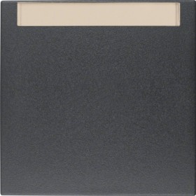 Berker 16261606 S1/B.x rocker with writing bar, anthracite matt