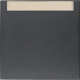 Berker 16261606 S1/B.x  pokrov stikalo z pisavo, anthrazit matt