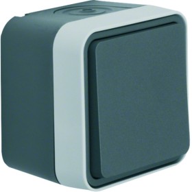 Berker W1 Aufputz 30773505 Kreuzschalter grau/lichtgrau matt