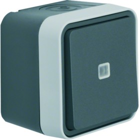 Berker W1 50763505 Wipptaster beleuchtet mit LED-Aggregat AP W.1 grau/lichtgrau matt IP55
