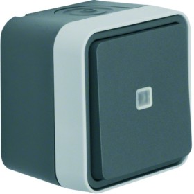 Berker W1 30763525 change switch illuminated grey/light grey matt