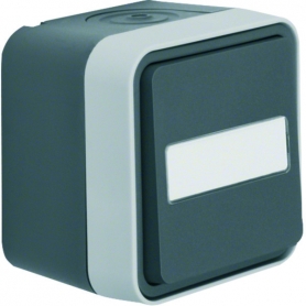Berker W1 30763555 Interruptor con campo de etiquetado, gris/color gris