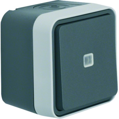 Berker W1 31763505 Wechselschalter mit Linse grau/lichtgrau matt