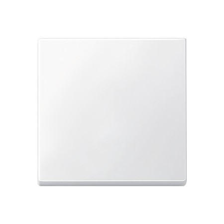 Merten 433119 Wippe, polarweiß, System M