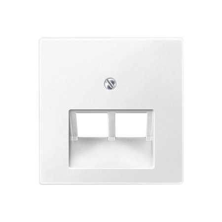Merten 298019 Zentralplatte für UAE-Einsatz, 2fach, polarweiß, System M